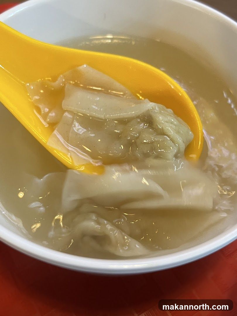 Wonton Soup