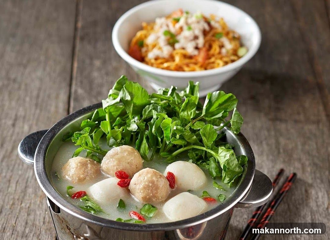 Noodle Soup and Noodles