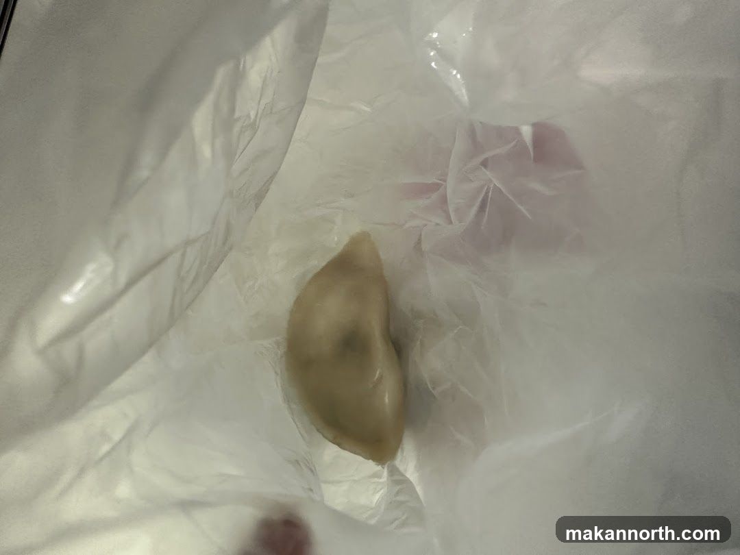 Dumpling in a plastic bag