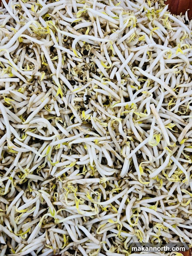 Bean Sprouts