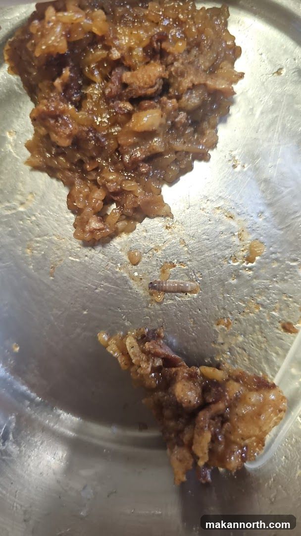Food with a worm