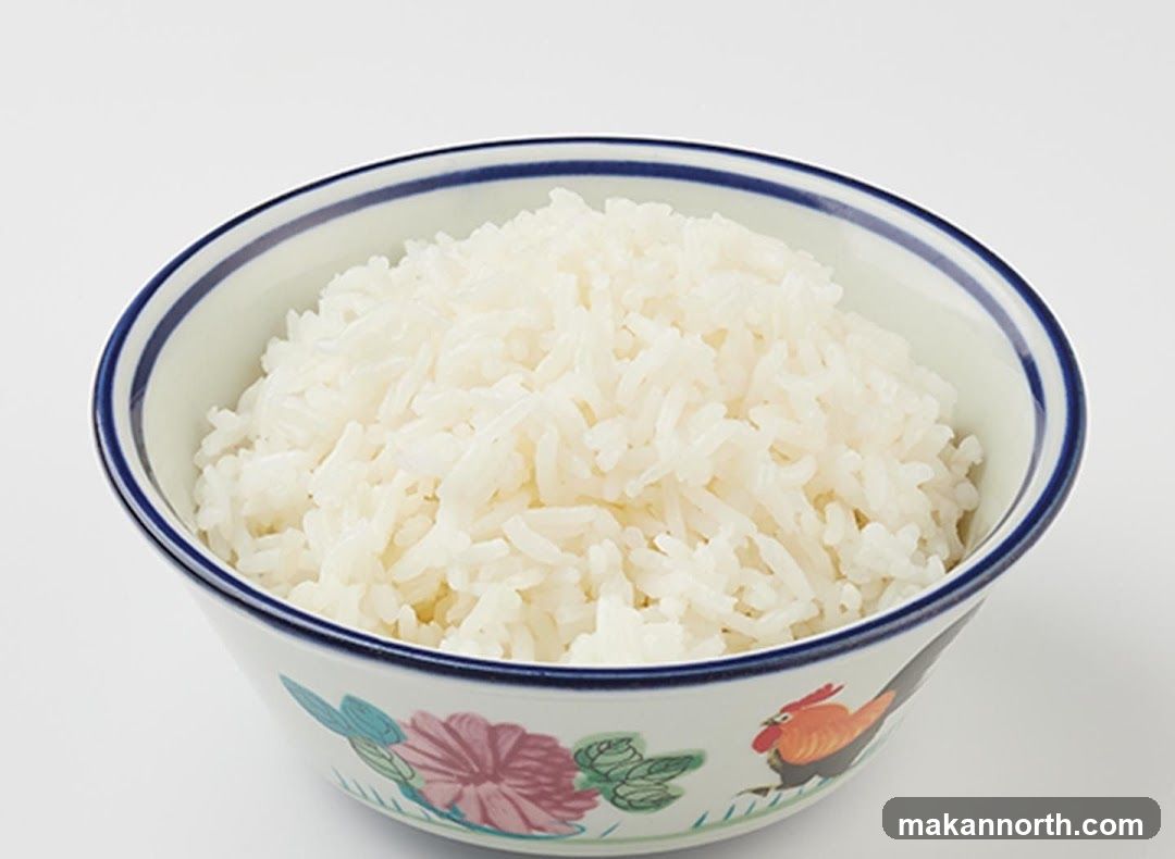 Bowl of Rice