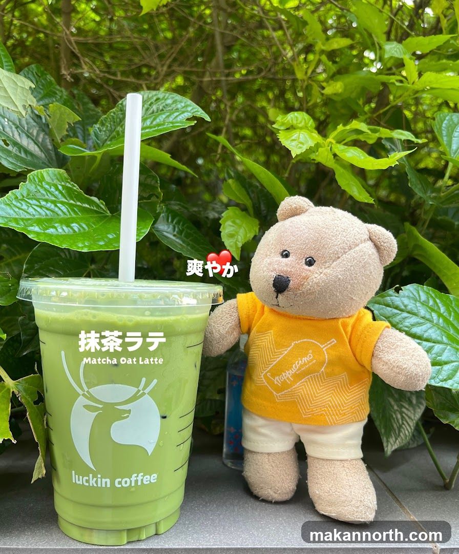 Matcha Oat Latte with Teddy Bear