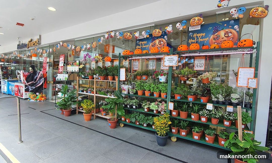 Halloween Decorations and Plants
