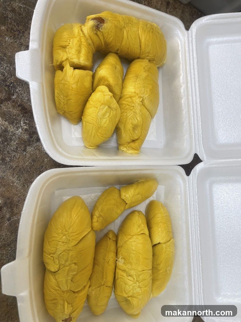 548 Durian Stall - Ah Kiat