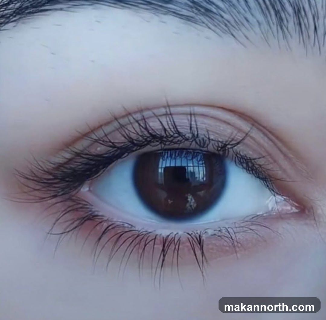Close-up of an eye