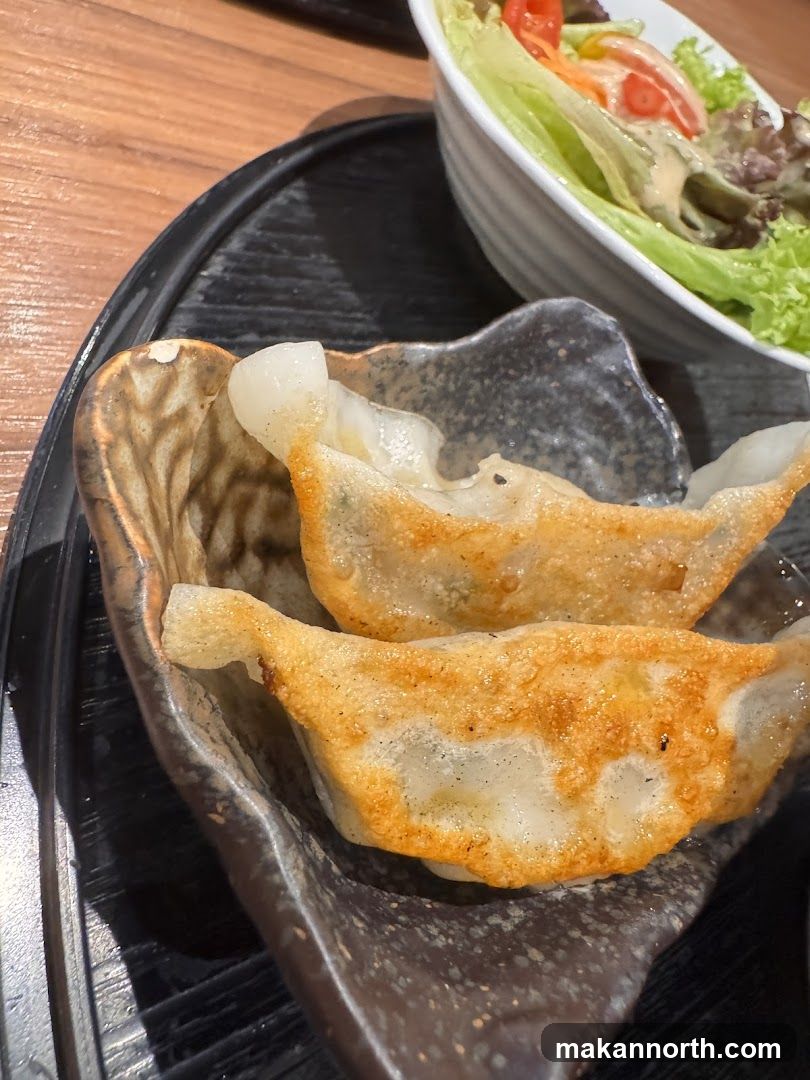 Gyoza and Salad
