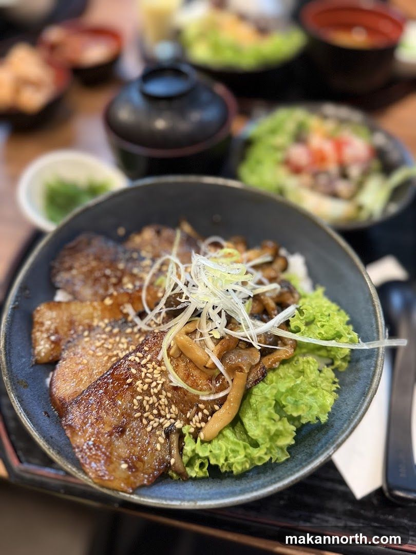Japanese Rice Bowl