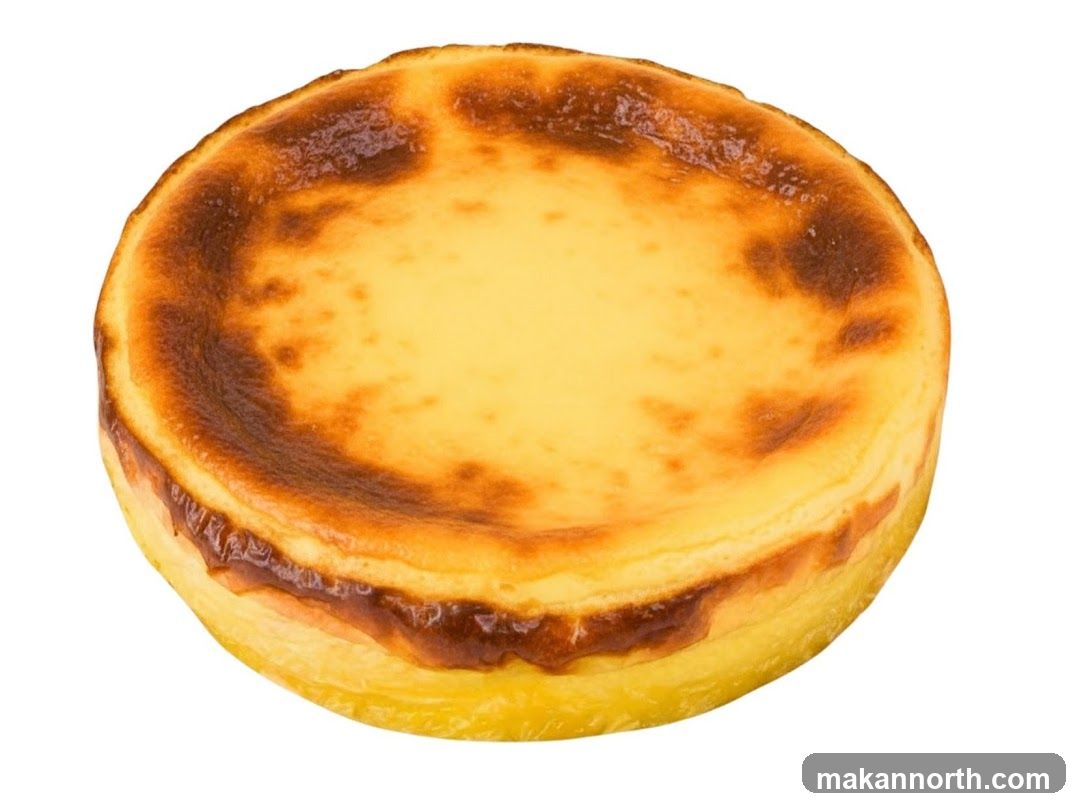 Burnt Basque Cheesecake