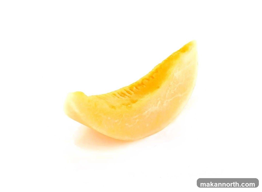 Cantaloupe Slice