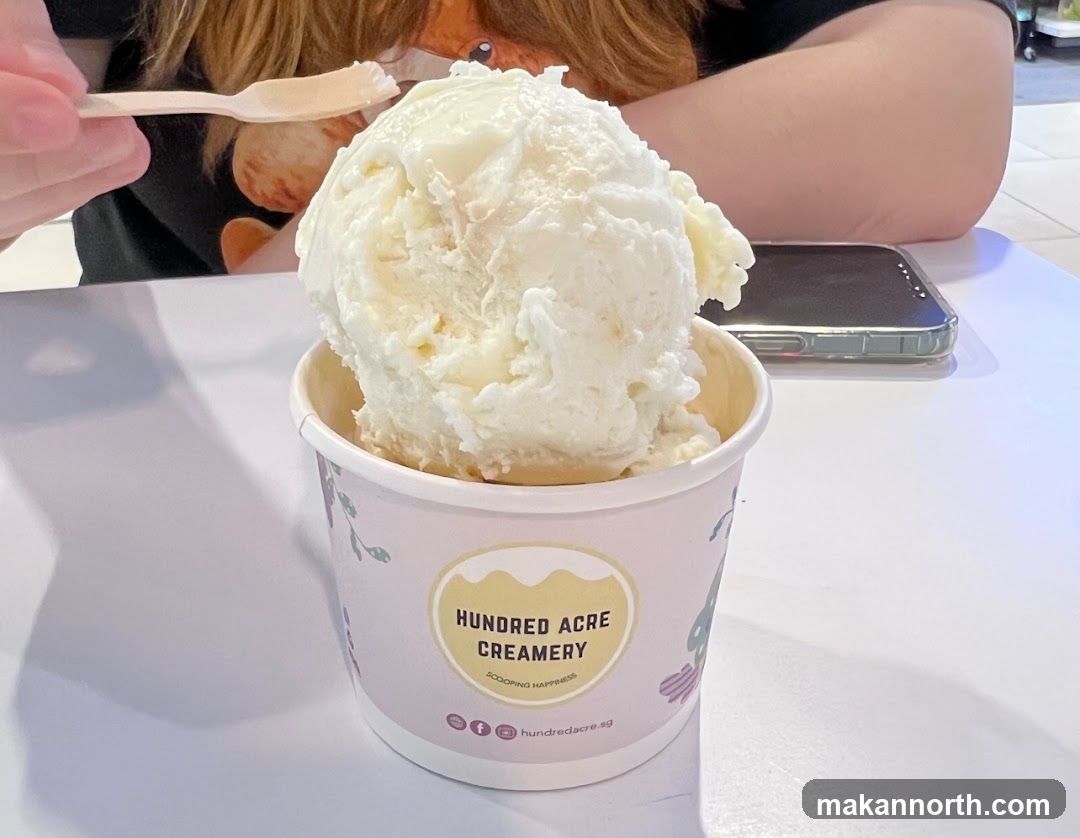 Ice Cream Cup