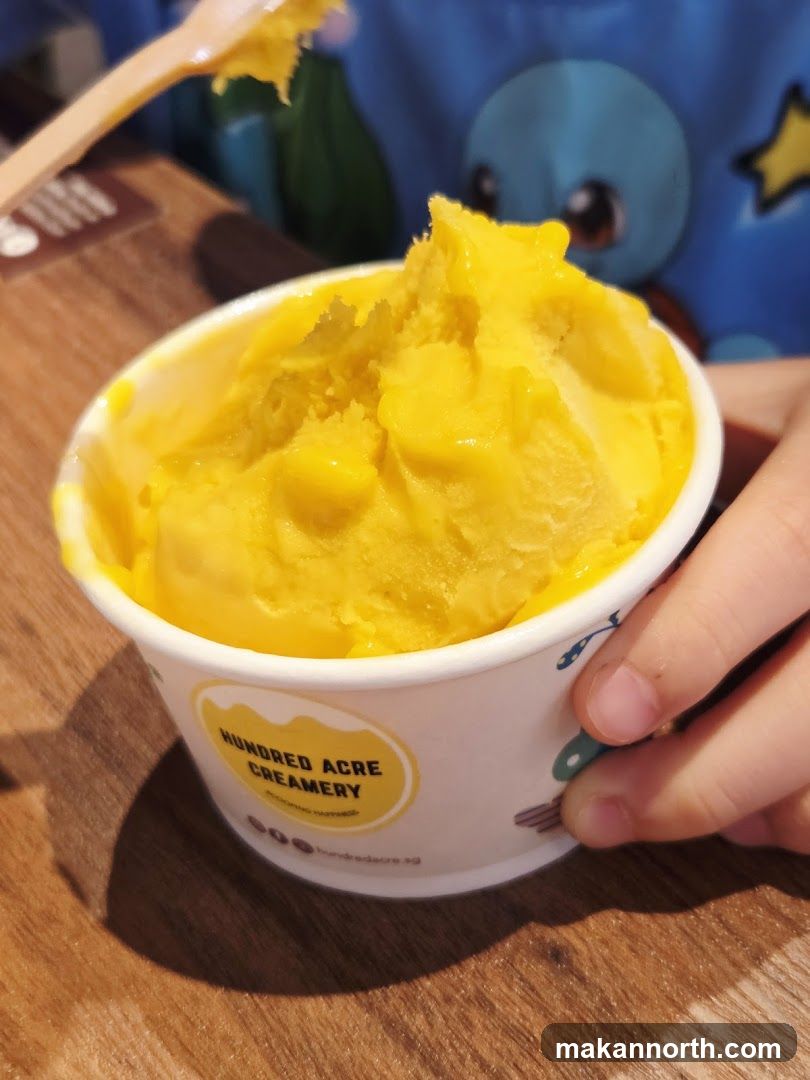 Ice Cream Cup