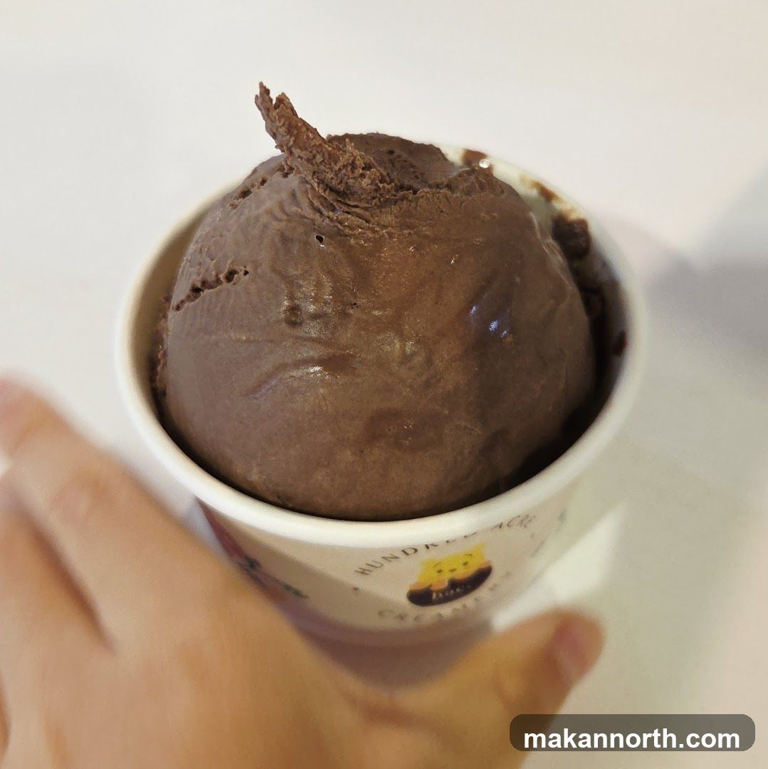 Chocolate Ice Cream Cup