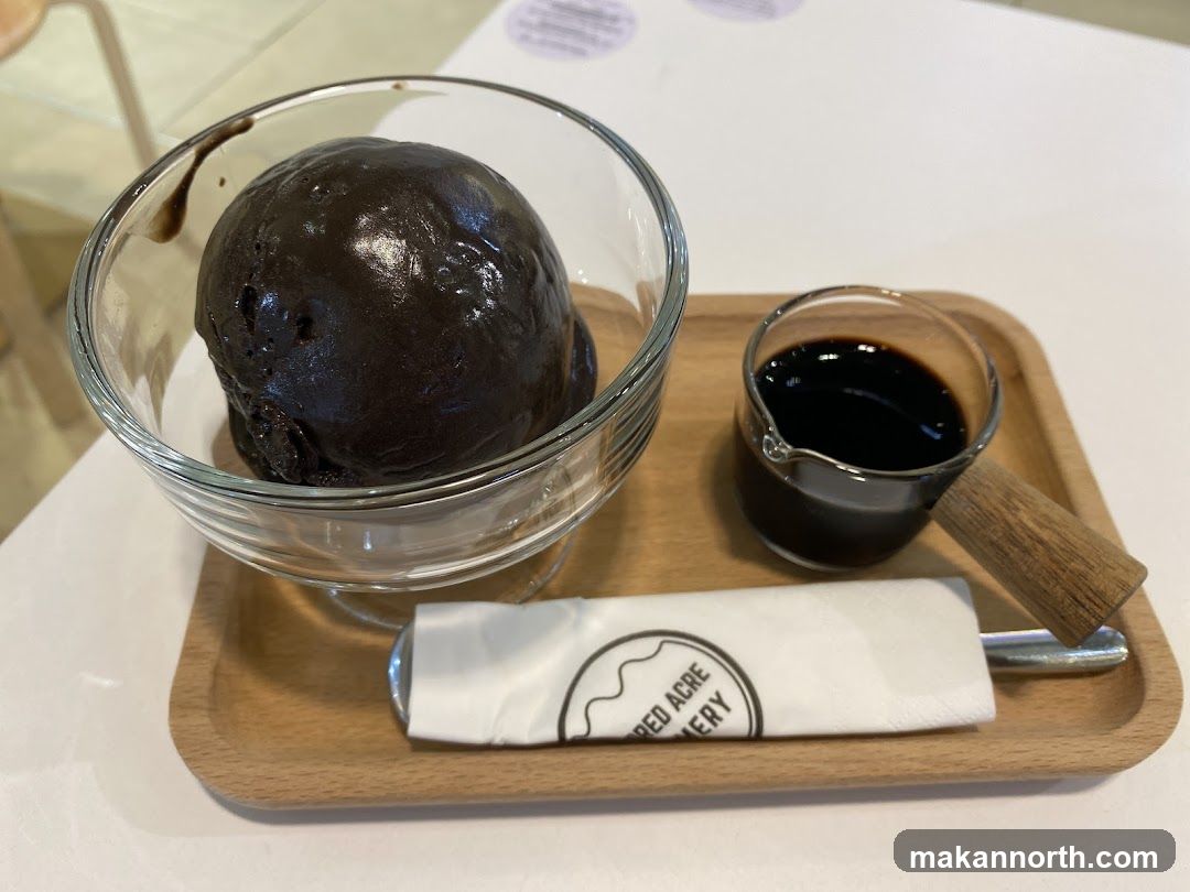 Chocolate ice cream with sauce