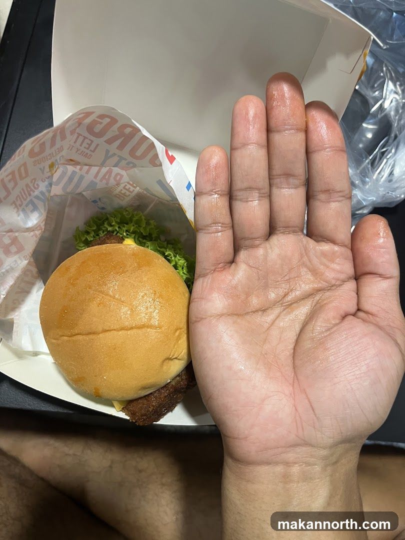 Burger and Hand