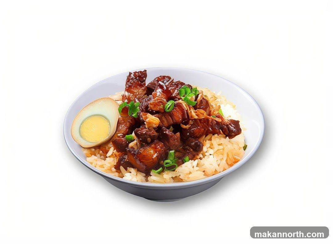 Braised Pork Belly Rice