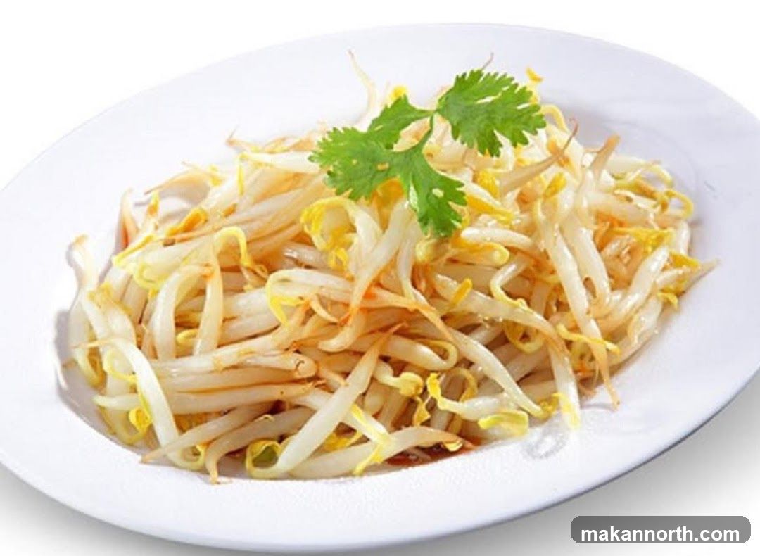 Bean Sprouts Dish