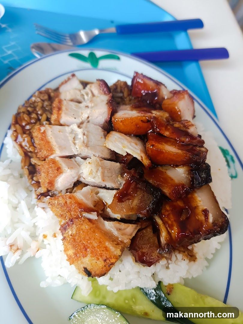 Roast Pork and Char Siu Rice