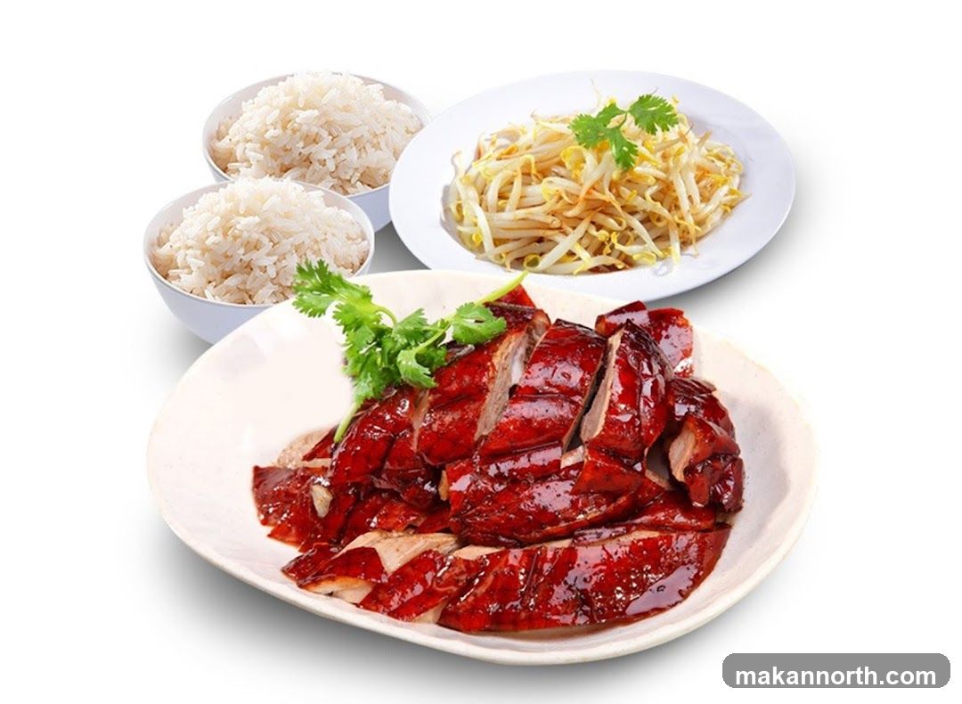 Roast Duck with Rice and Bean Sprouts