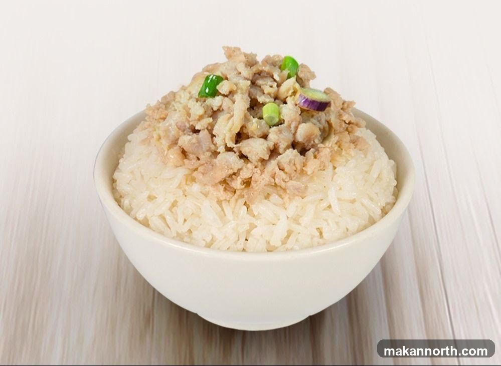 A white bowl filled with white rice, topped with a generous portion of minced pork and garnished with chopped green onions and slices of eggplant.