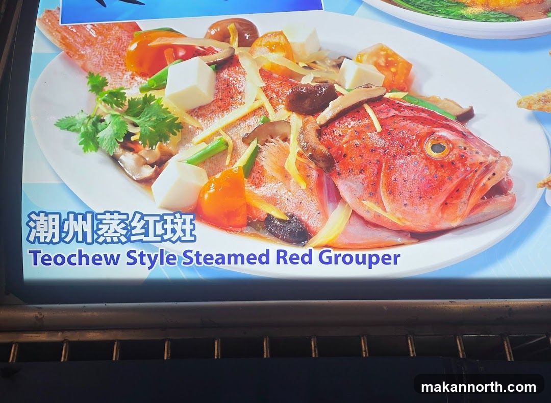 Teochew Style Steamed Red Grouper