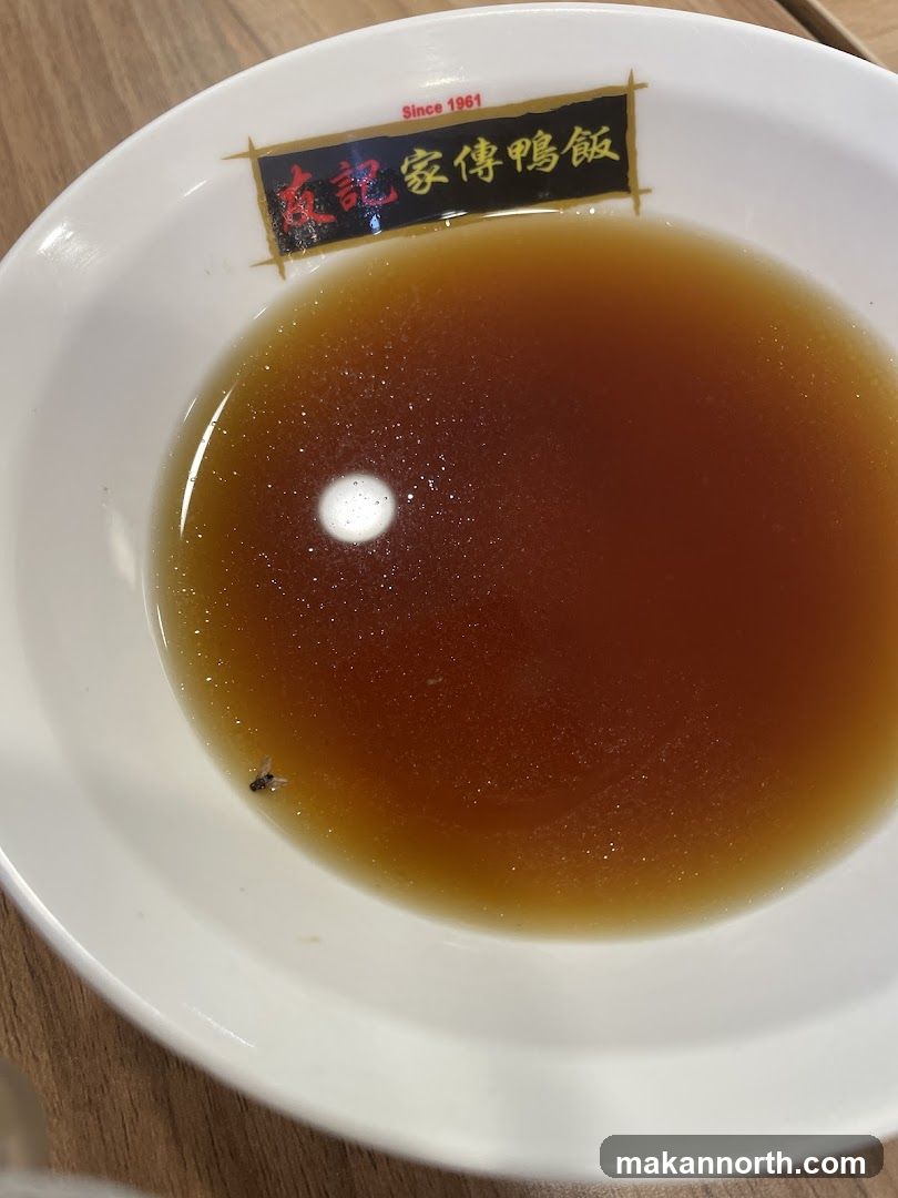 Bowl of Broth with Fly