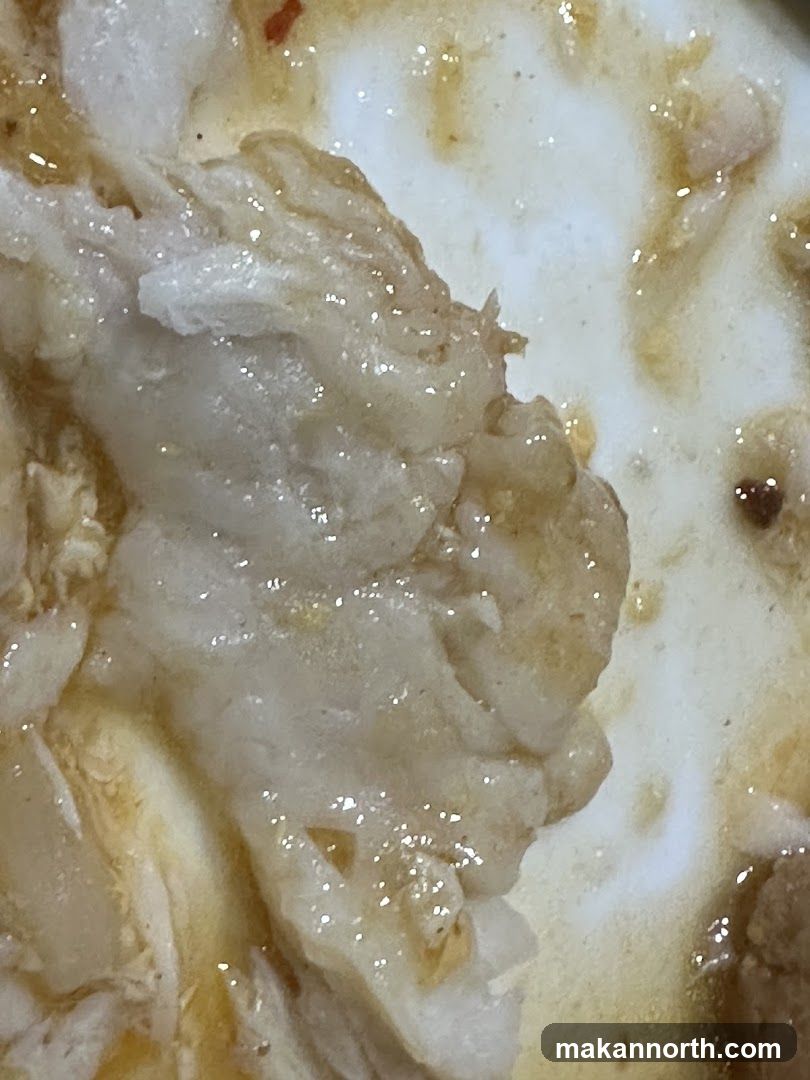 Close-up of shredded chicken in sauce