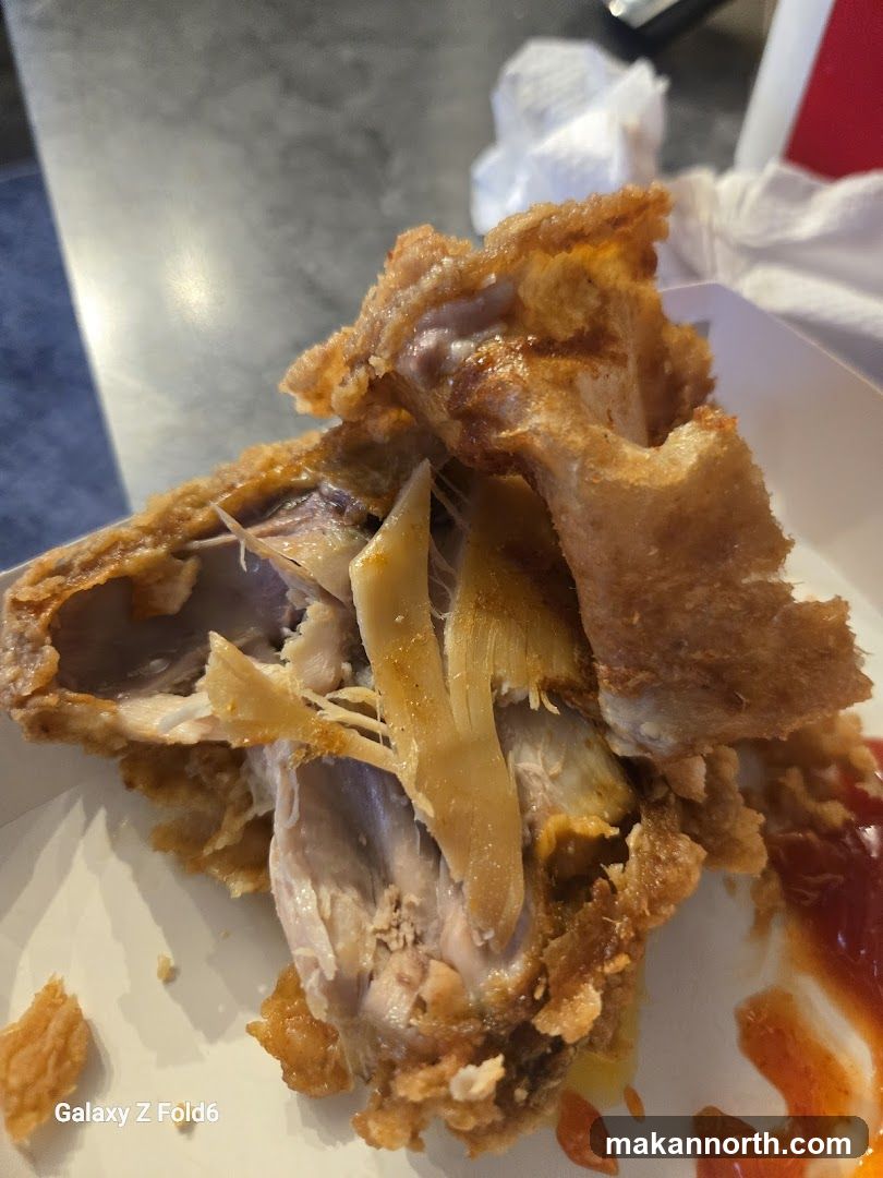 Fried Chicken Piece