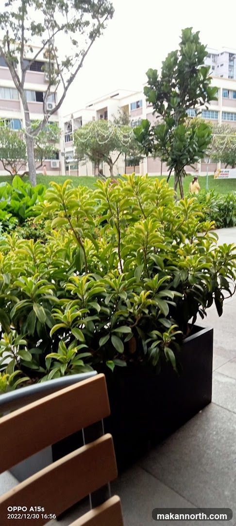 Outdoor seating area with greenery and buildings