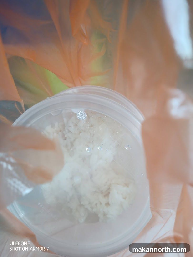 Takeaway Rice