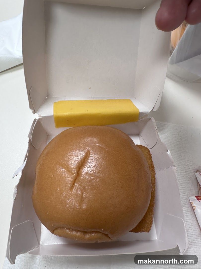 Burger and Cheese Slice