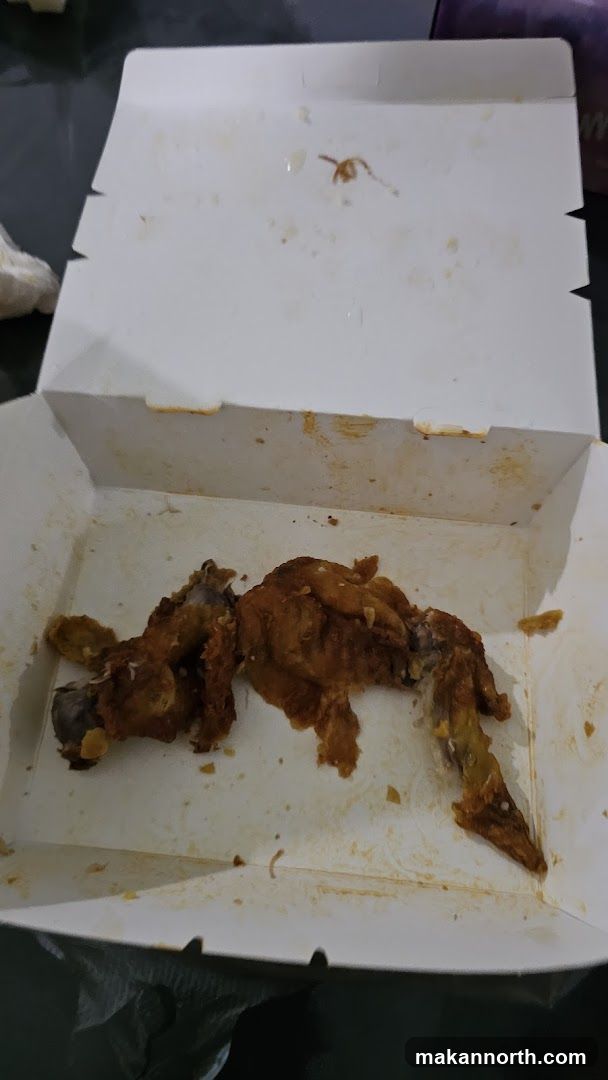 Fried Chicken Remains