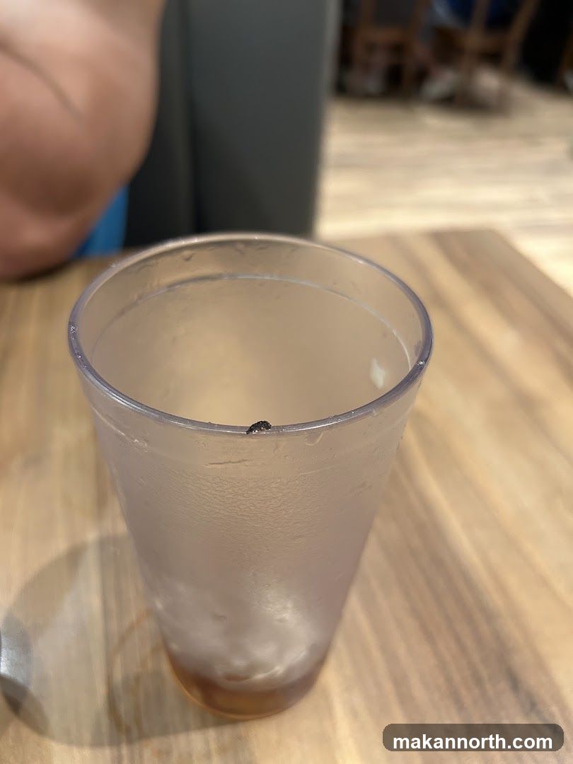 Bug on Cup Rim