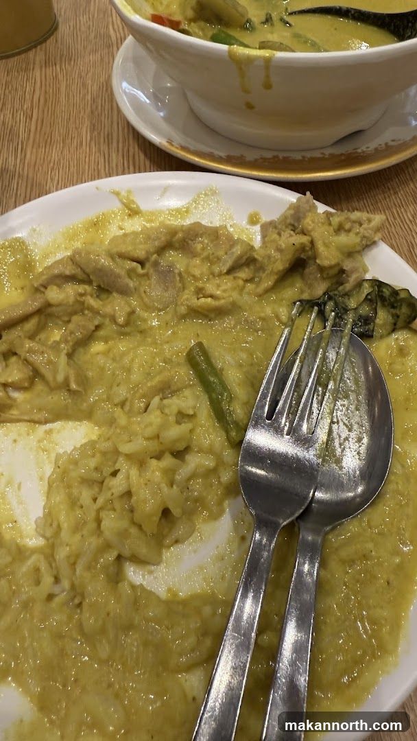 Partially Eaten Green Curry with Rice