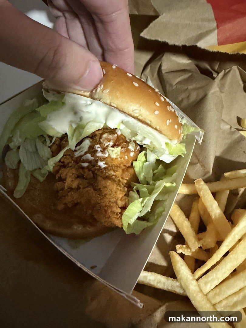 Chicken Sandwich and Fries
