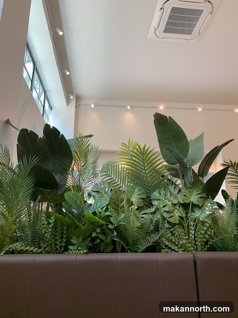 Indoor Tropical Plants