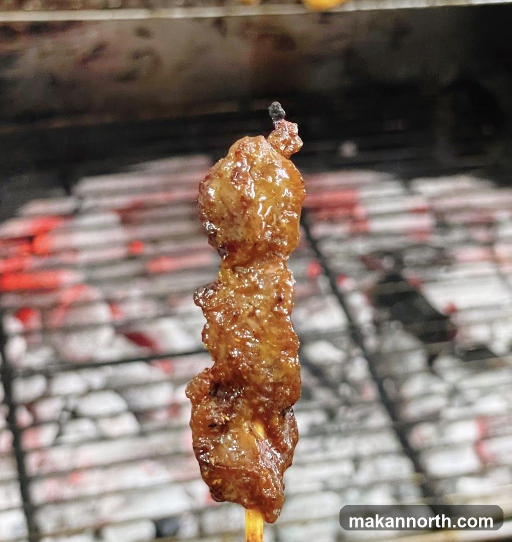Meat Skewer on Grill