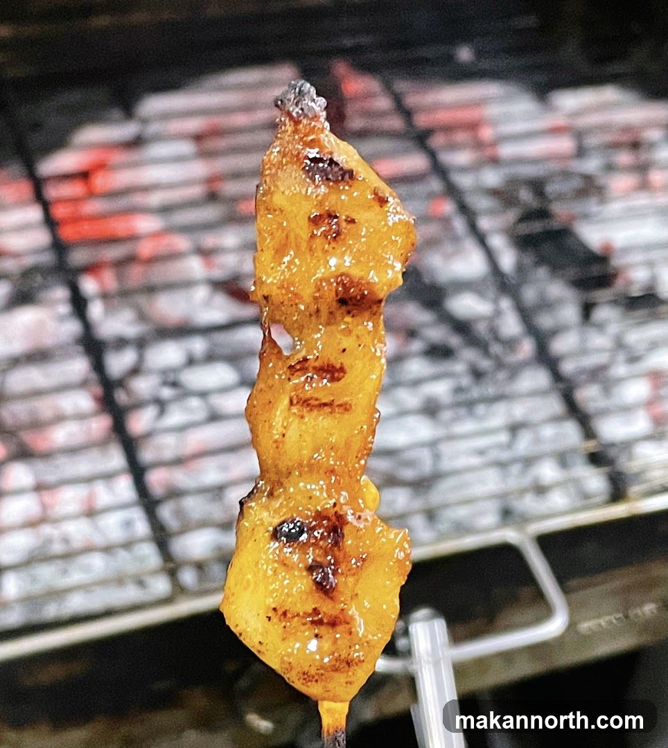 Grilled Skewer