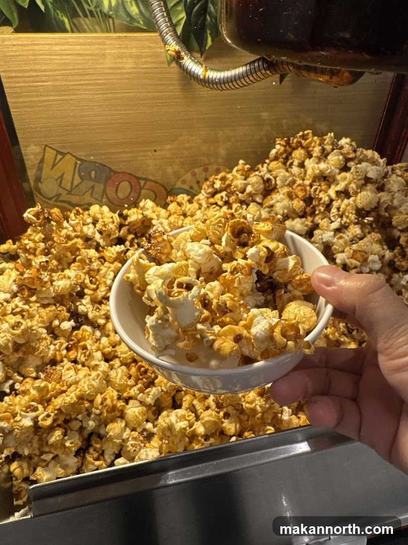 Popcorn Machine