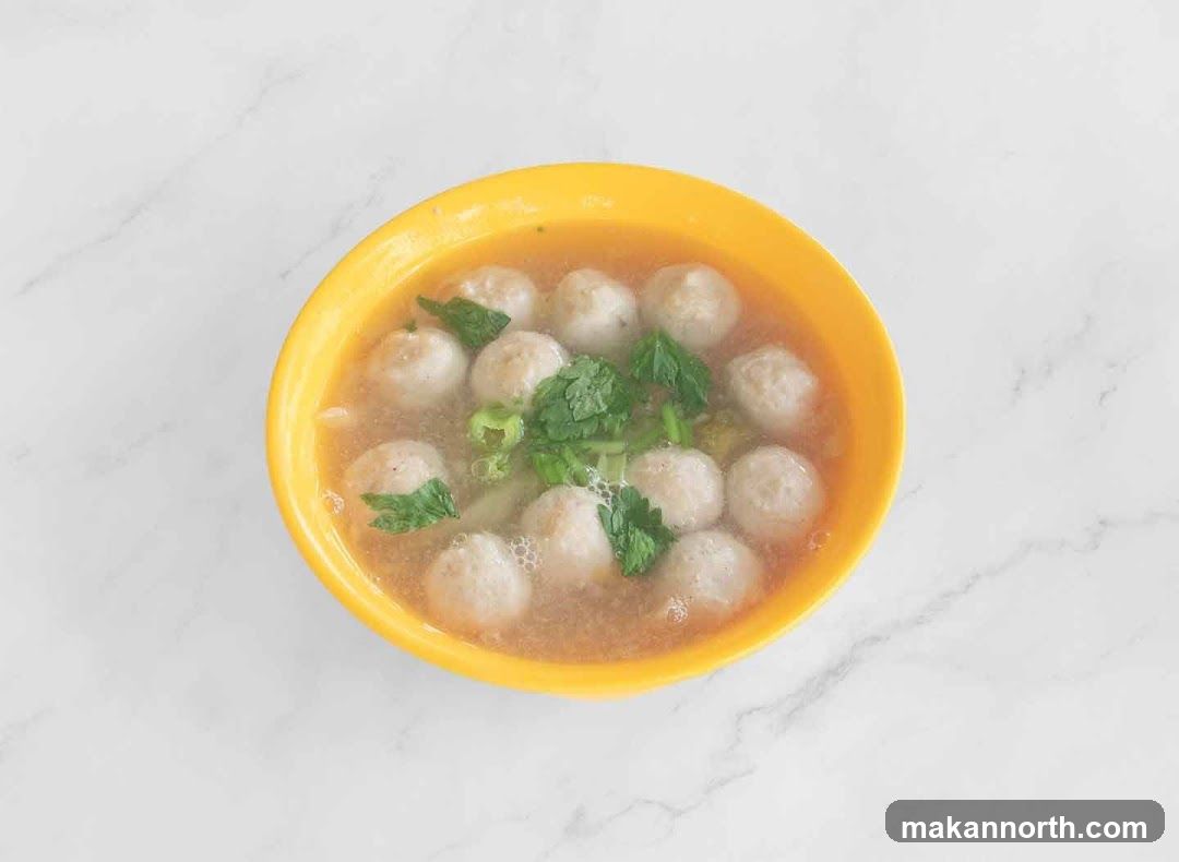 Meatball Soup