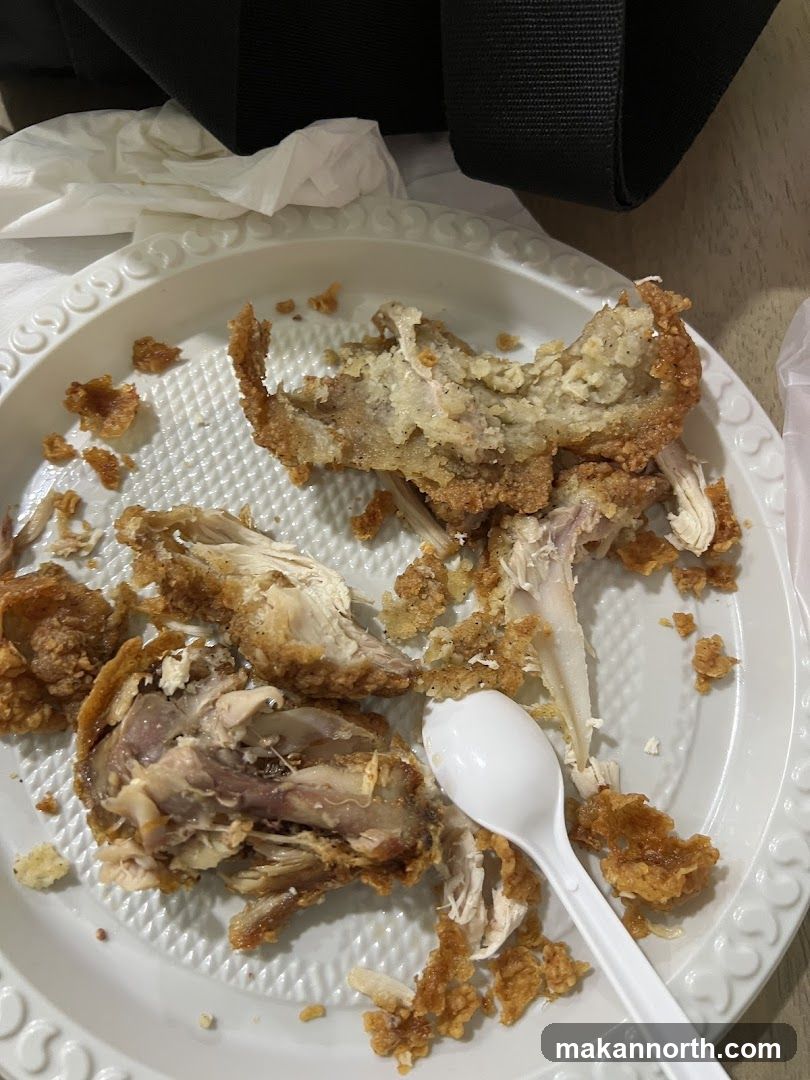 Fried Chicken Remains