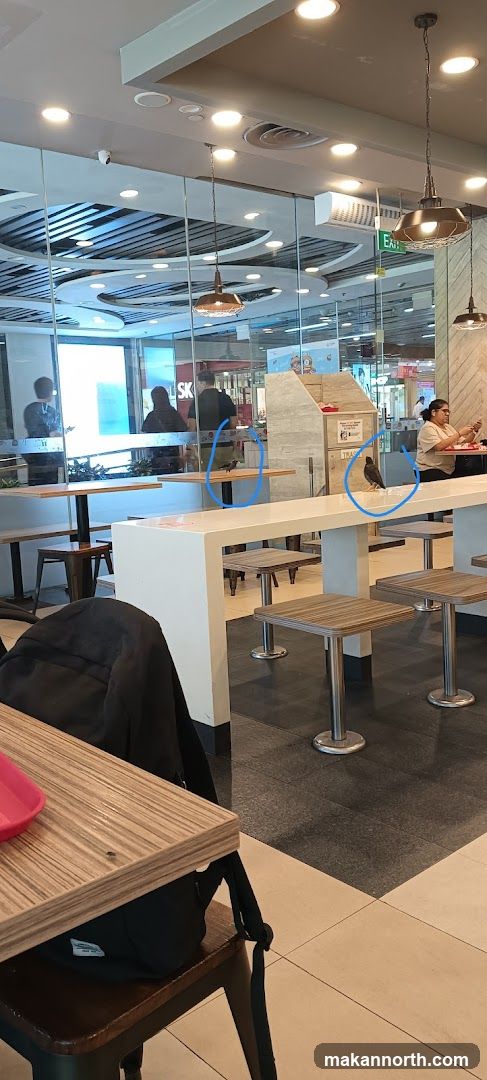 Indoor seating area with birds