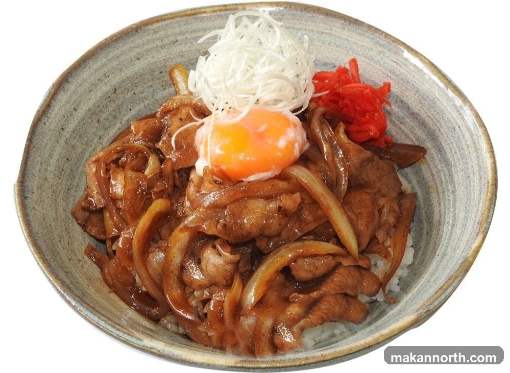 Pork and Onion Rice Bowl