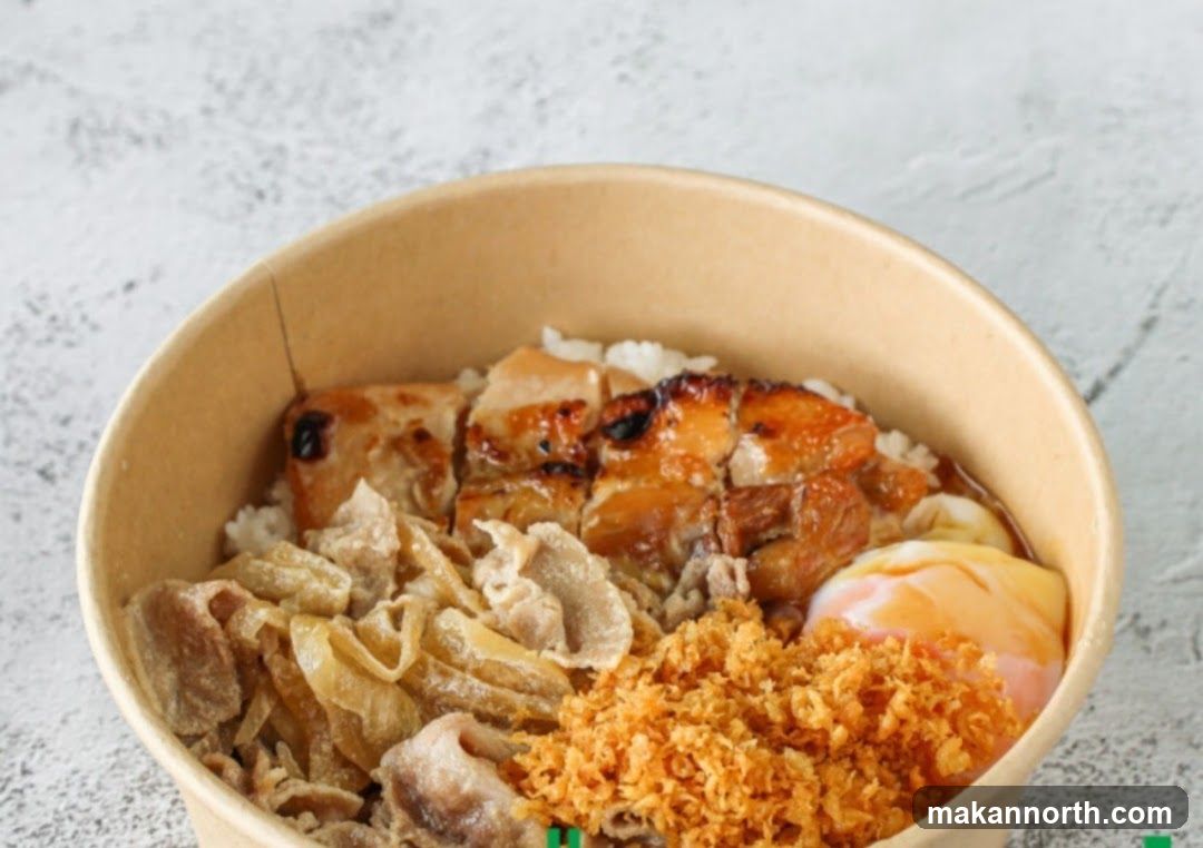 Rice Bowl with Meat and Egg