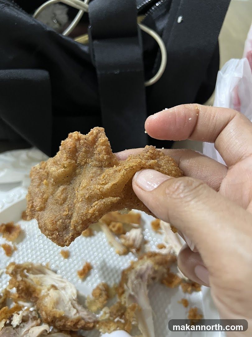 Fried Chicken Piece