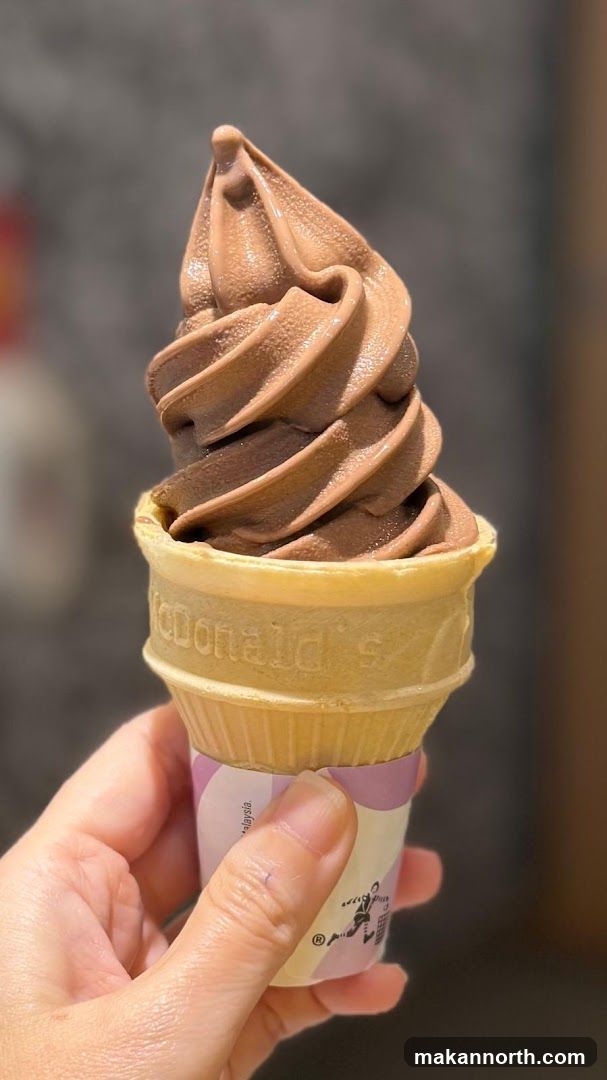 Chocolate Soft Serve Ice Cream Cone