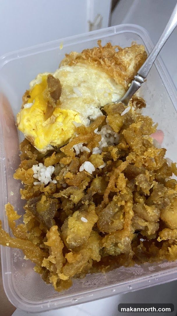 Fried Chicken and Rice with Egg