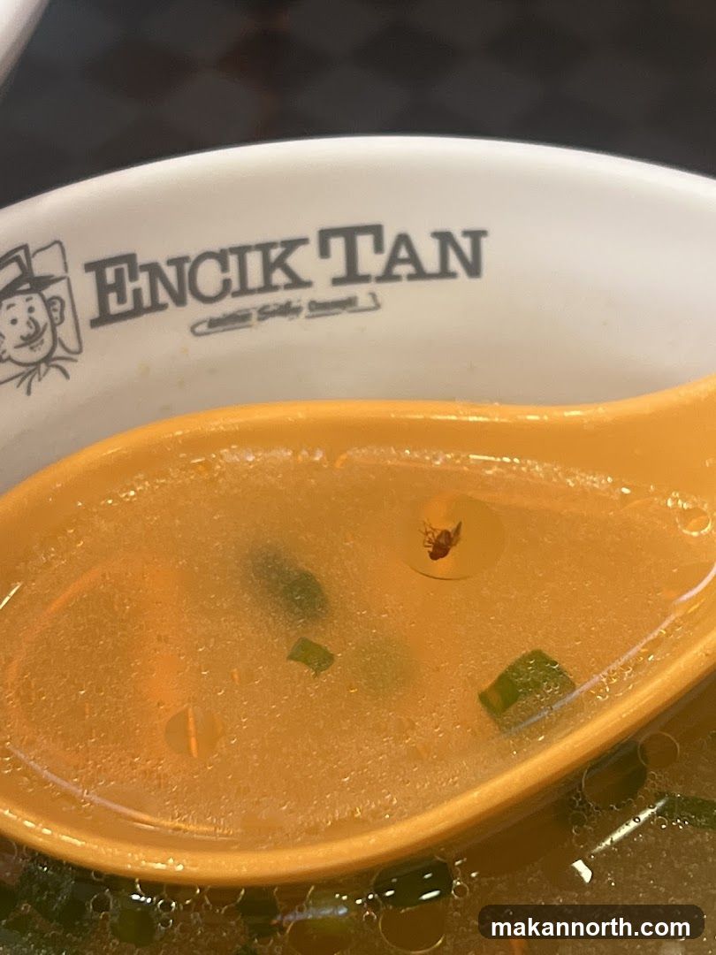 Bug in Soup