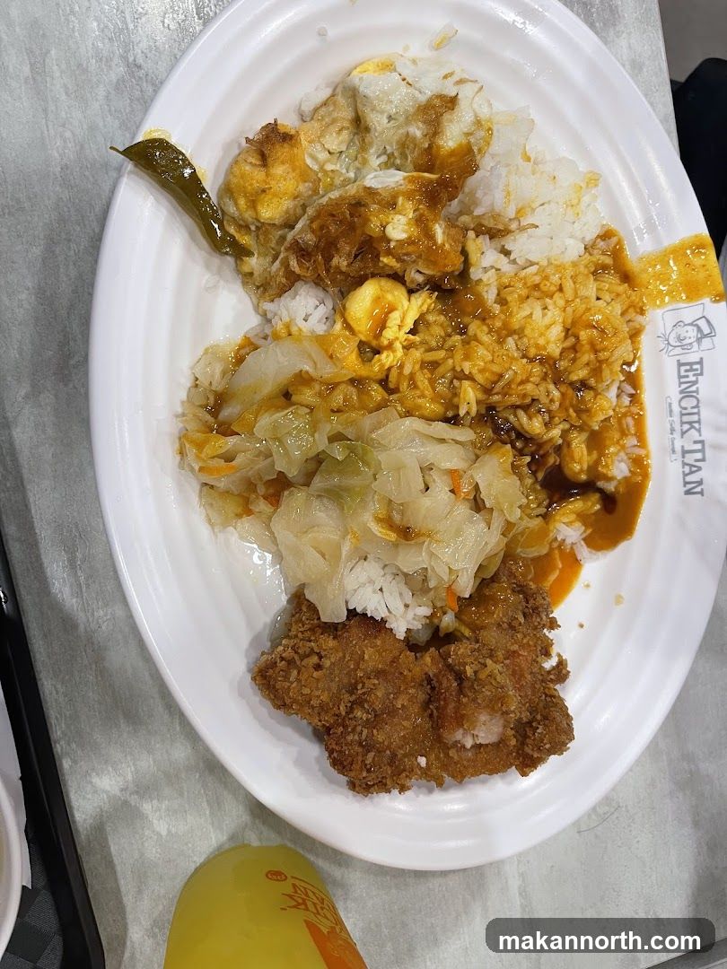 Plate of Rice with Fried Chicken and Egg