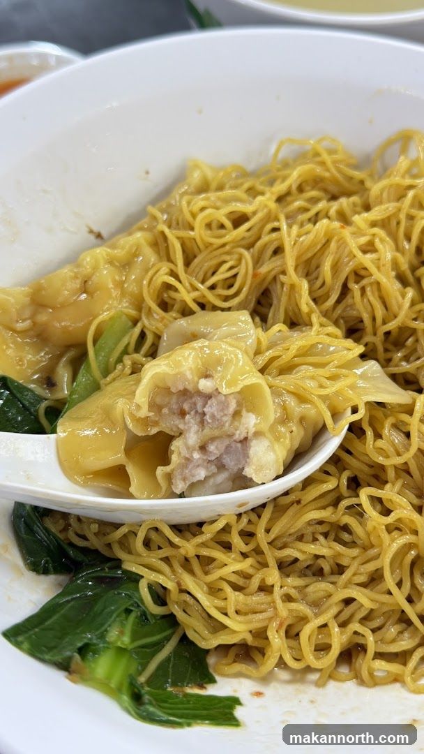 Wonton Noodles